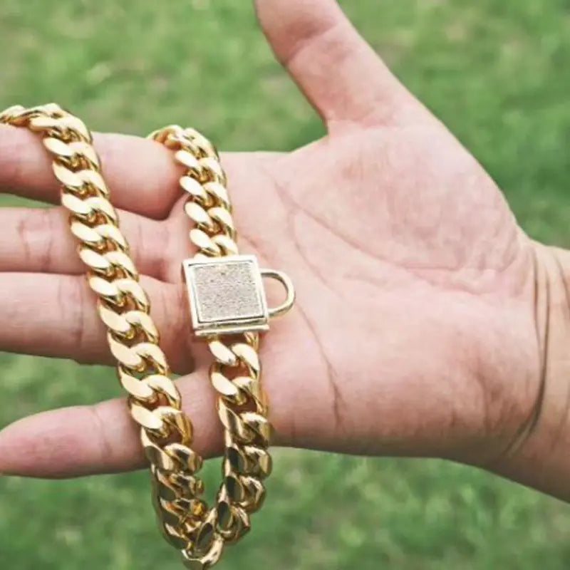 Pet Dog Collar with Stainless Steel Titanium Chain