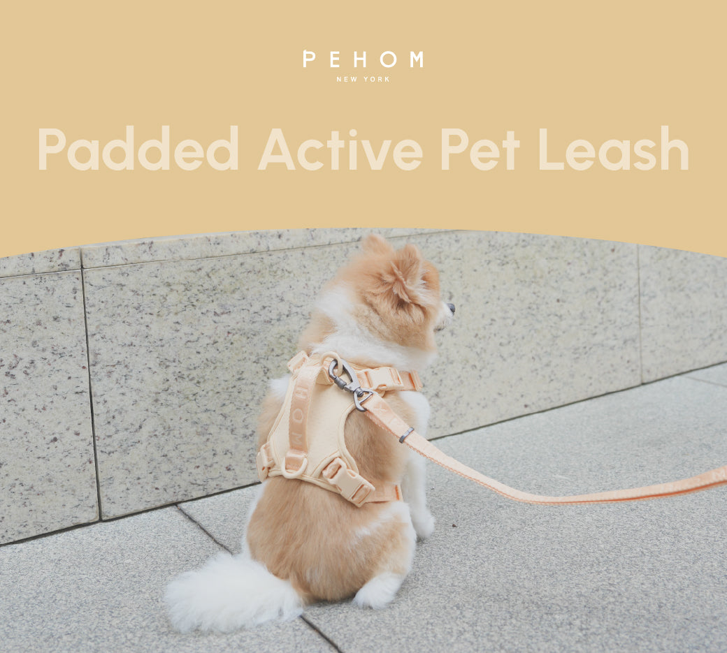 PADDED  ACTIVE  PET LEASH  - APRICOT