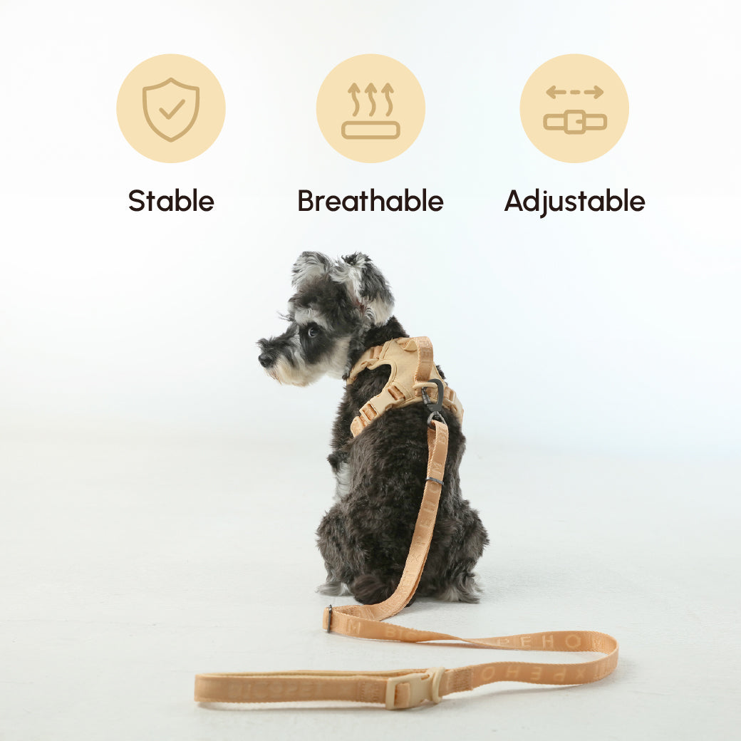 PADDED  ACTIVE  PET LEASH  - APRICOT