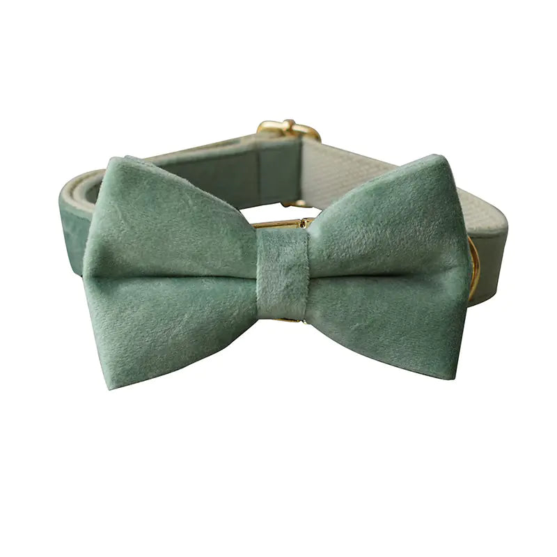 Mint Green Dog Collar with Matching Leash