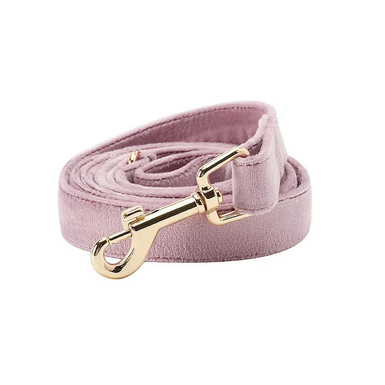 Mint Green Dog Collar with Matching Leash