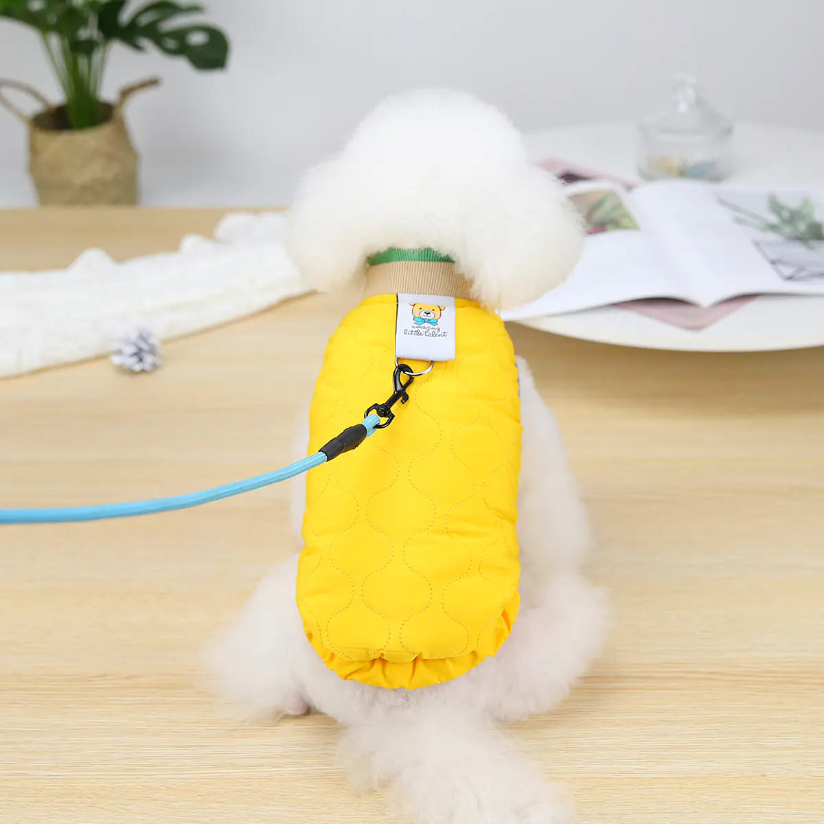 Puppy Velvet Vest for Autumn and Winter Dog Clothing