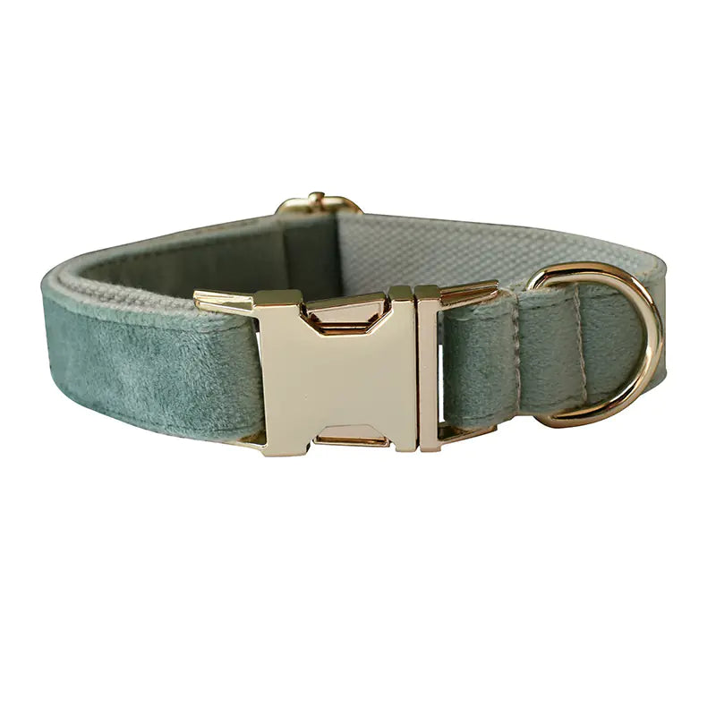 Mint Green Dog Collar with Matching Leash