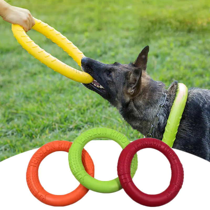 Interactive Floating Dog Toy - Training Ring Puller