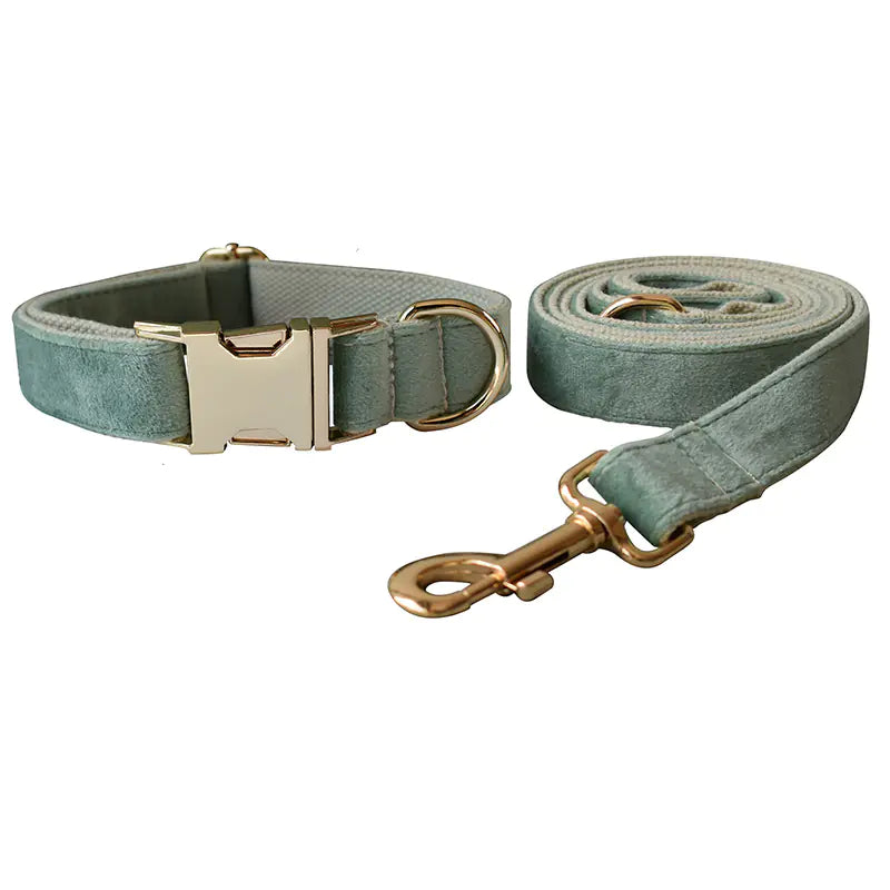Mint Green Dog Collar with Matching Leash