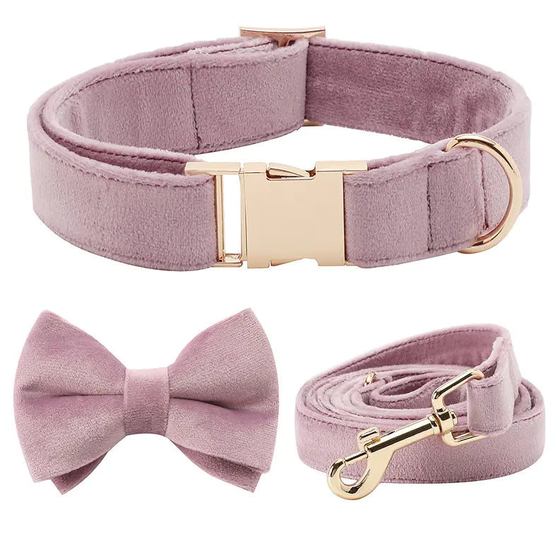 Mint Green Dog Collar with Matching Leash