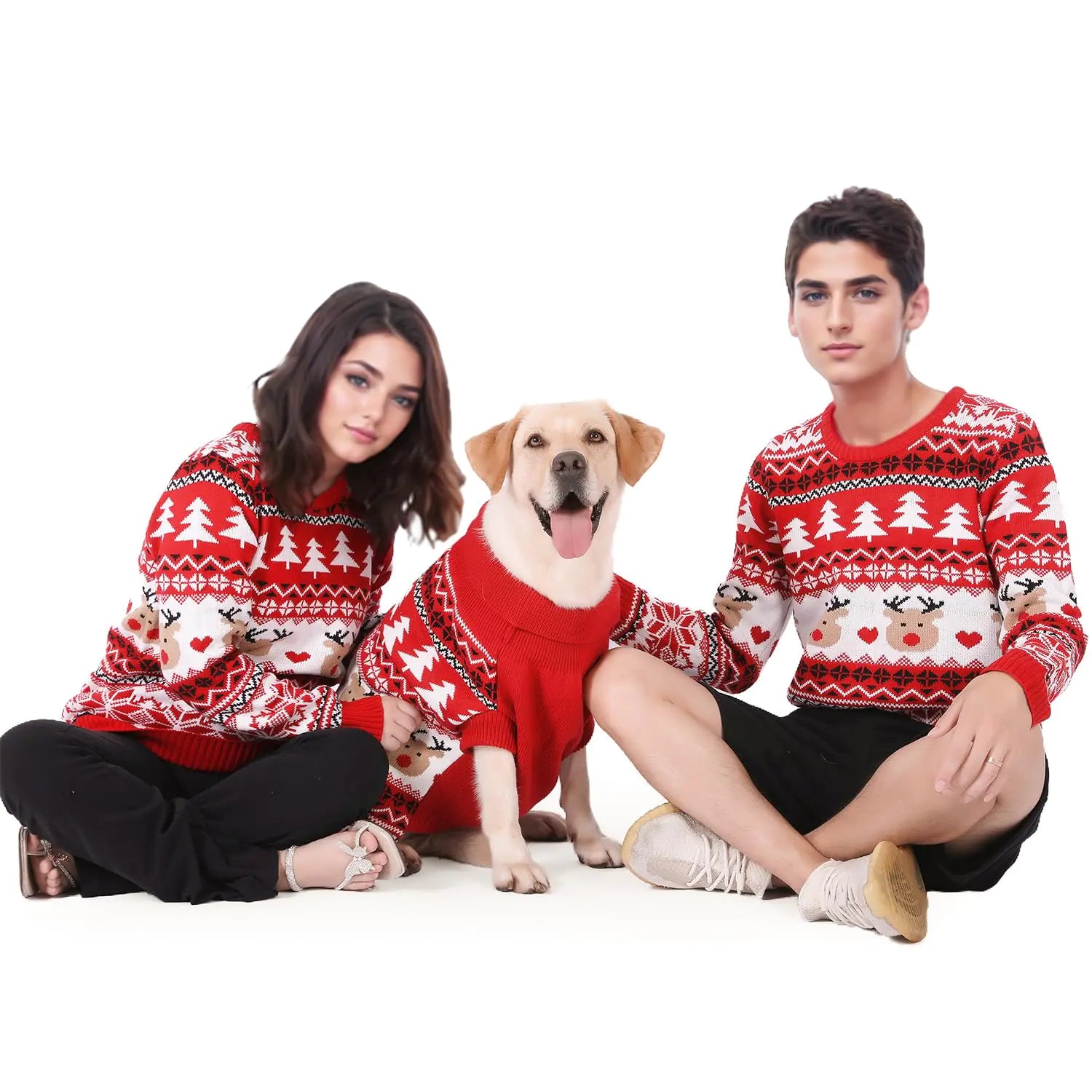 MuYaoPet Family Matching Dog and Owner Clothes OutfitsChristmas Pet Cat Sweater Costume for Small Medium Extra Large Dogs/Women/Men-Dog and Owner Matching Sweaters Separately(for Human Human 4XL)