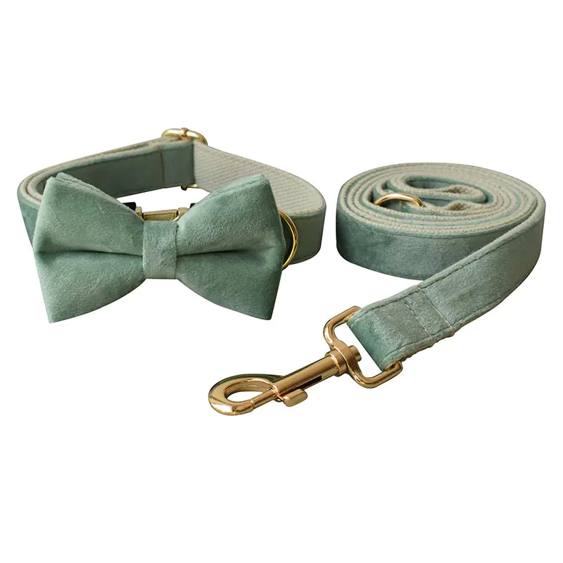 Mint Green Dog Collar with Matching Leash