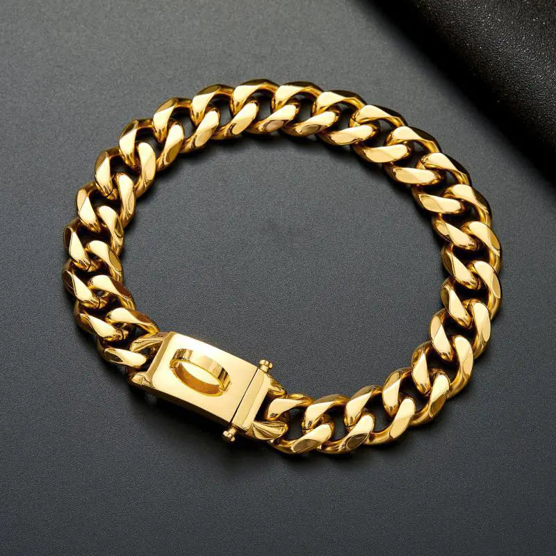 Stainless Steel Dog Leash and Collar for Medium/Large Dogs