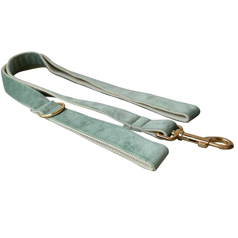Mint Green Dog Collar with Matching Leash