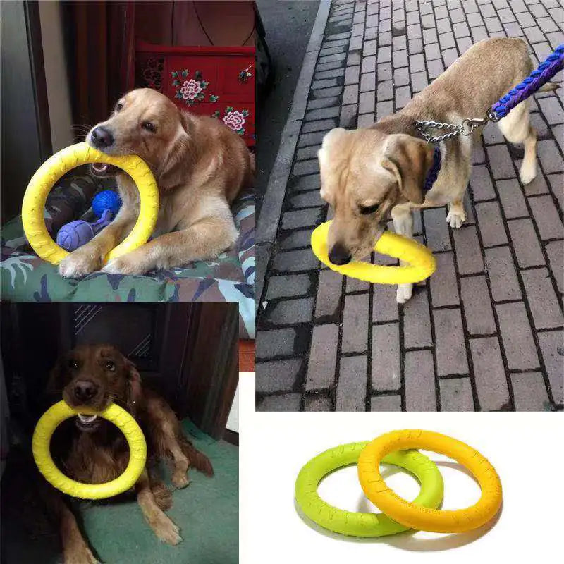 Interactive Floating Dog Toy - Training Ring Puller