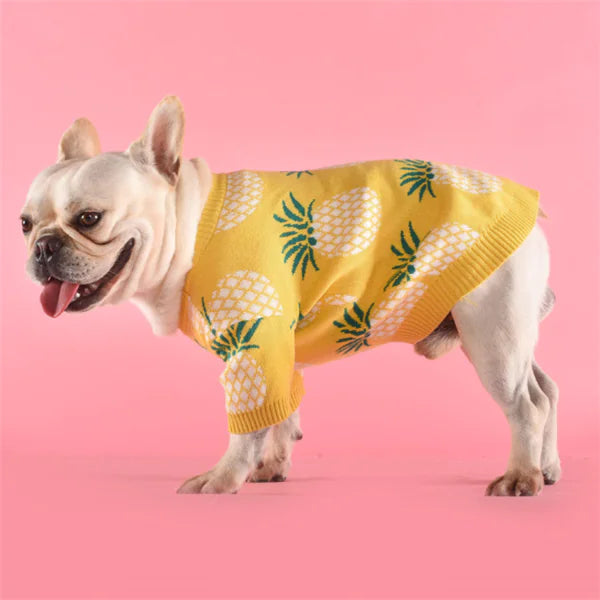 Cute Warm Dog Sweater - Pineapple Knit Design