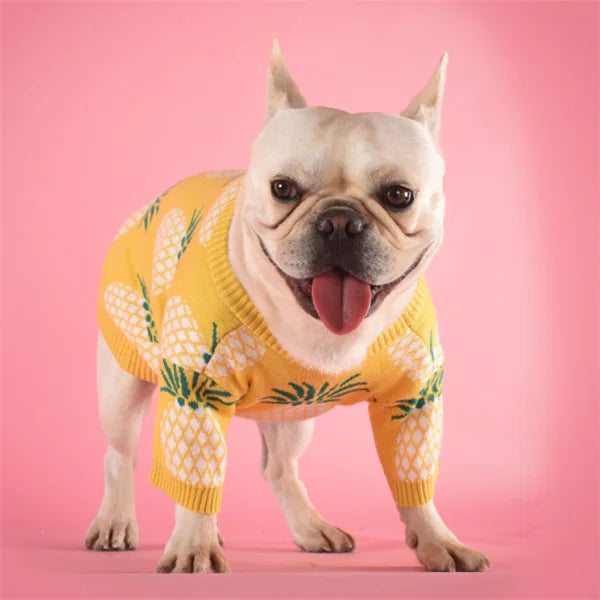 Cute Warm Dog Sweater - Pineapple Knit Design